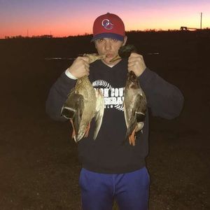 Meet your Posher, Sean